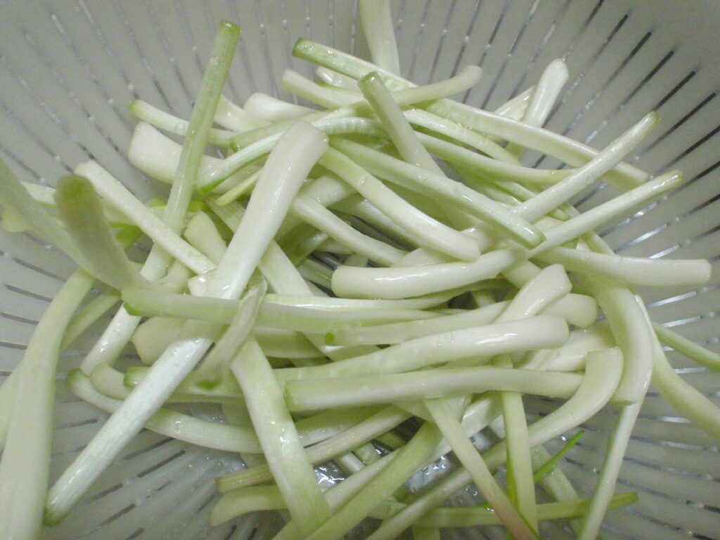 島らっきょう下処理