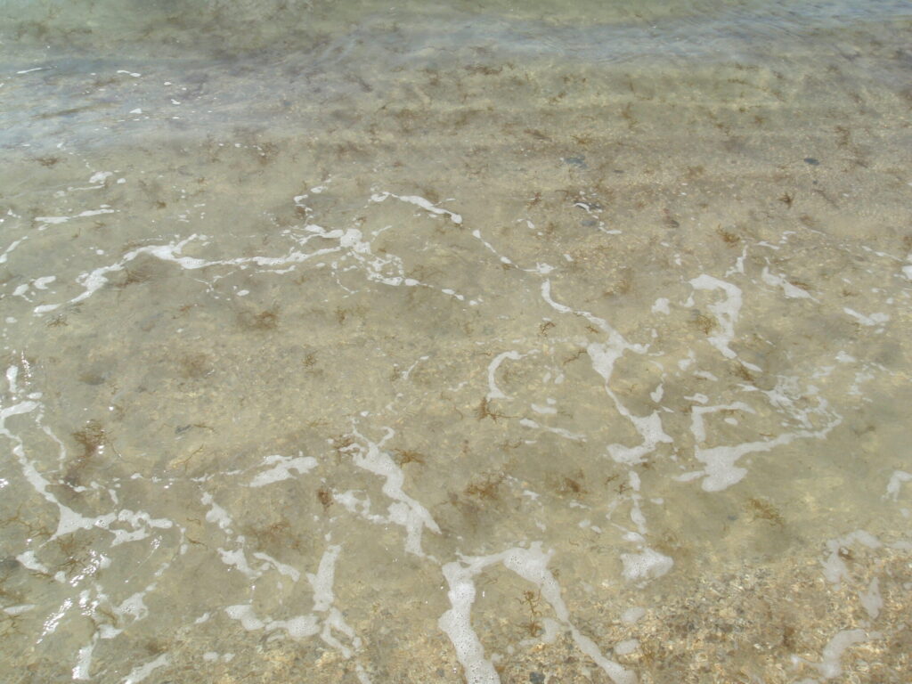 抜群の透明度と遠浅の海