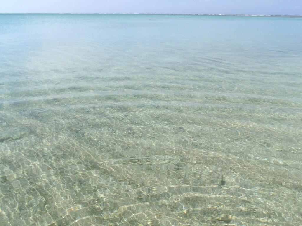美しい海の透明度