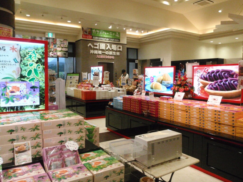 やんばる亜熱帯の森入口