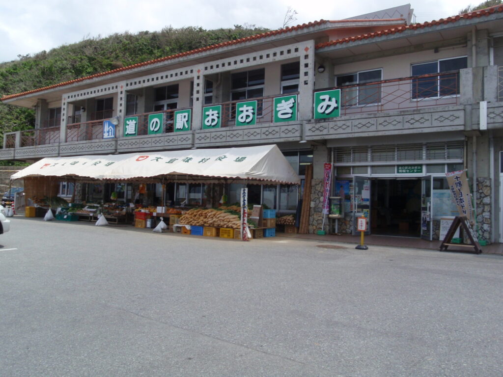 道の駅おおぎみ