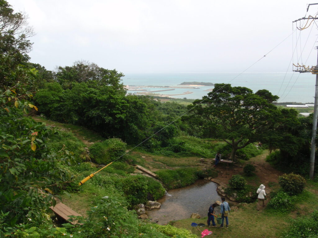 垣花からの景色