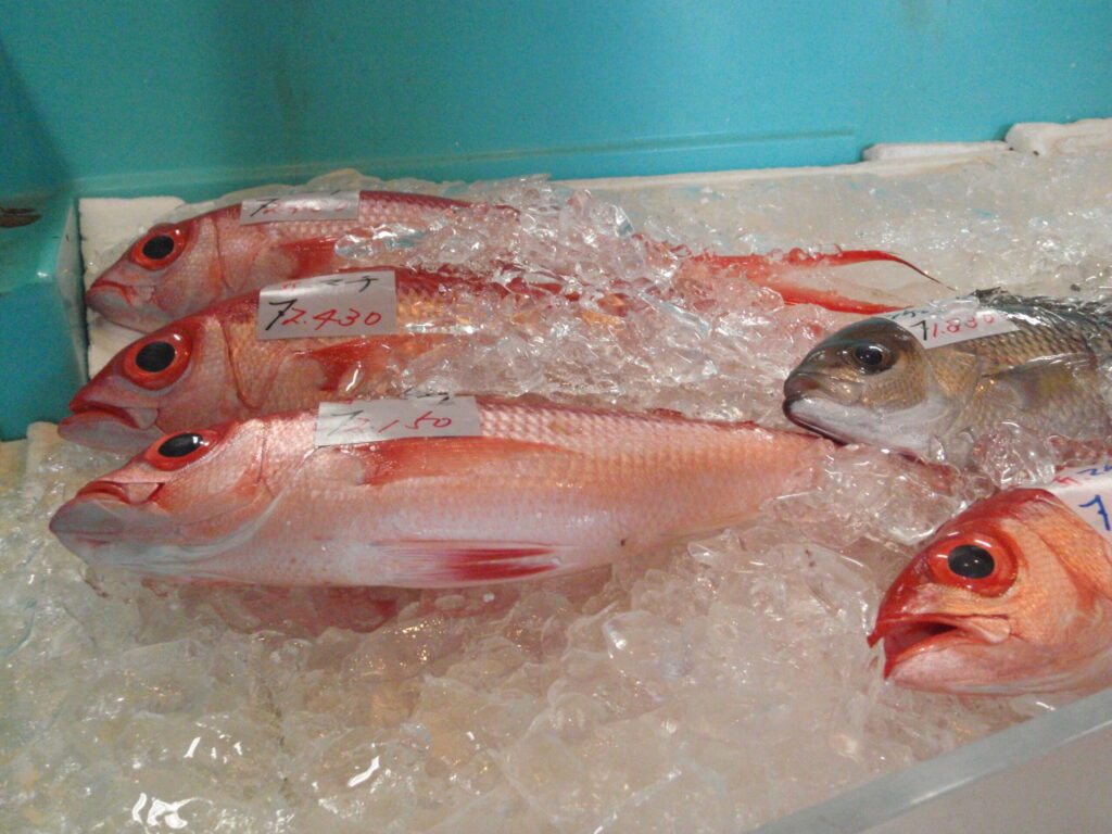 新鮮なお魚販売