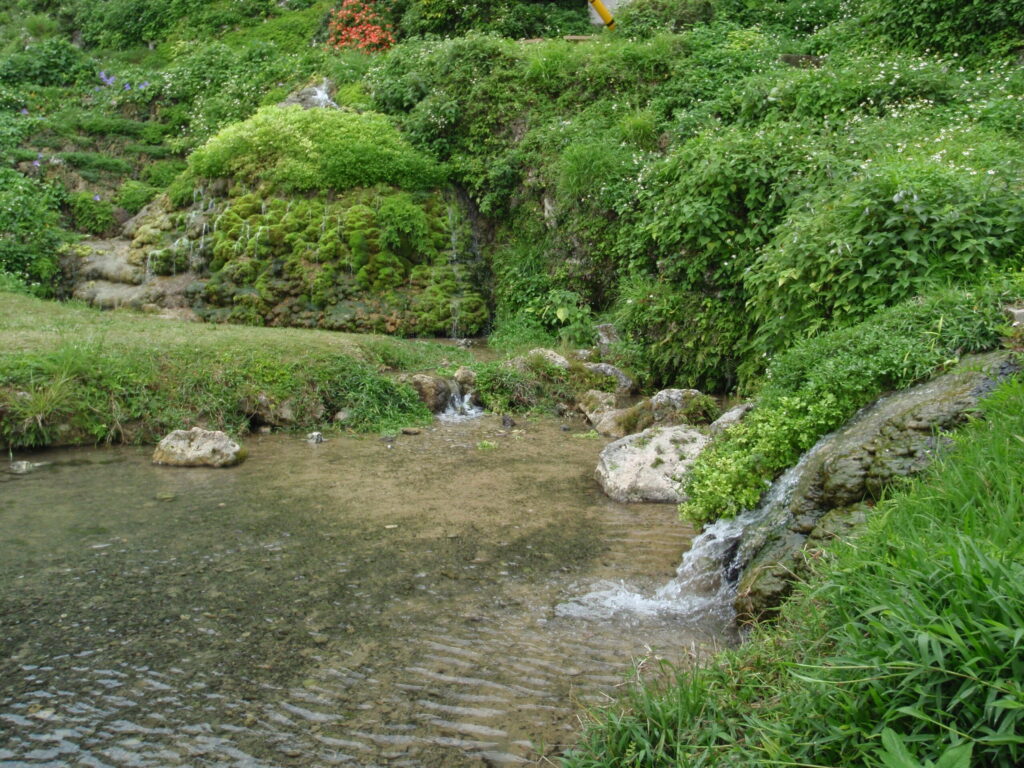 貴重な水源の垣花樋川
