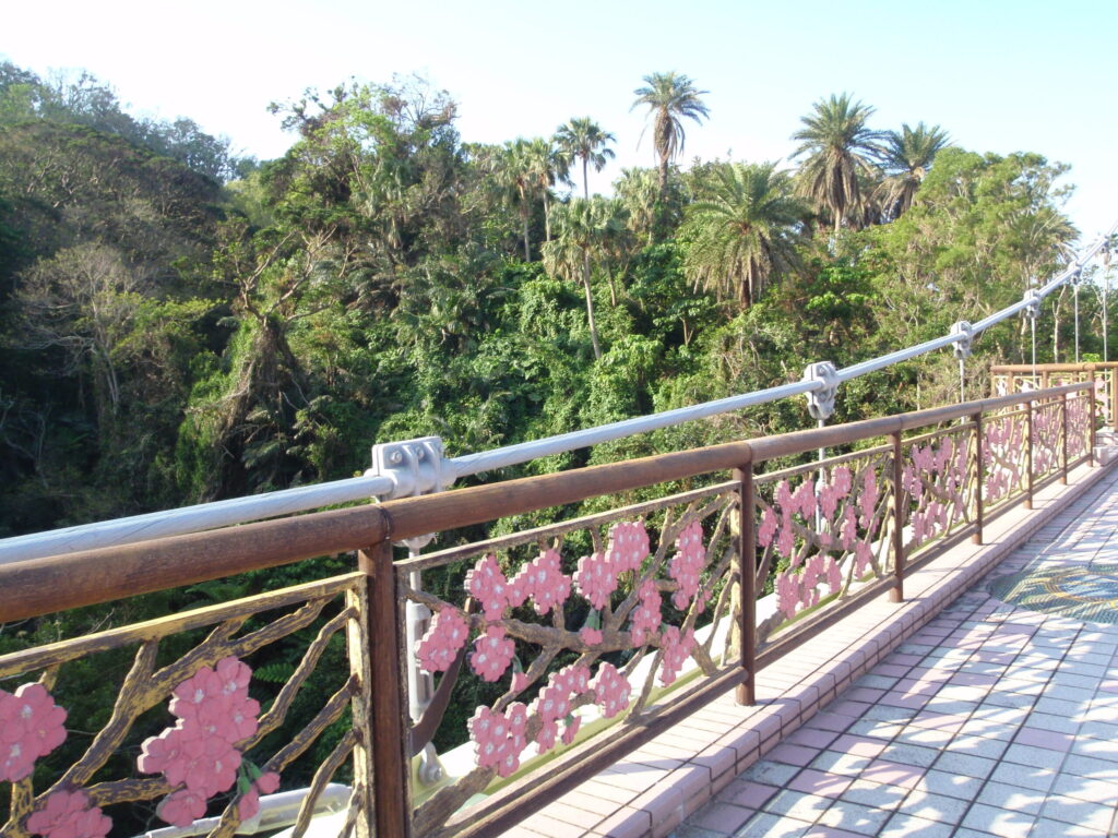 寒緋桜スポット