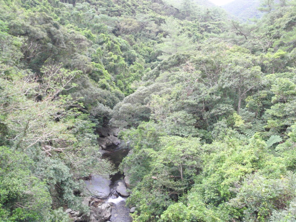 やんばる国立公園