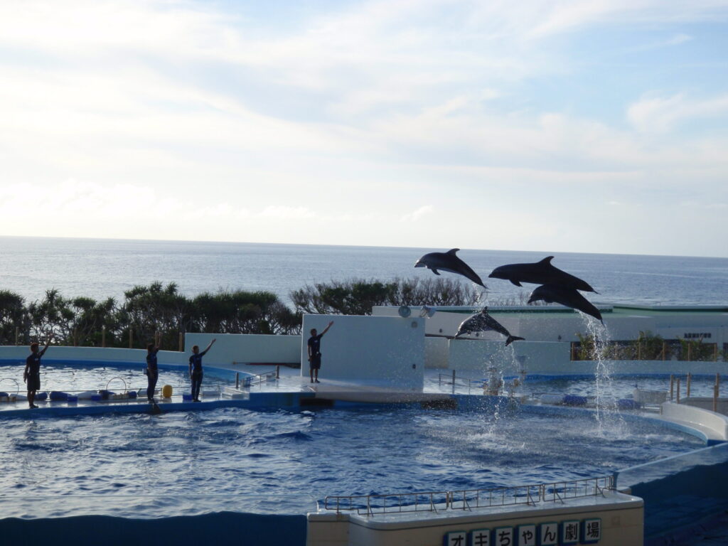 オキちゃん劇場