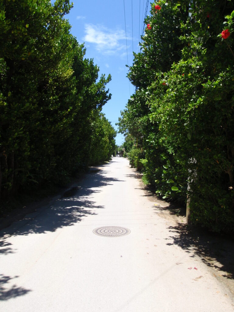 備瀬フクギ並木