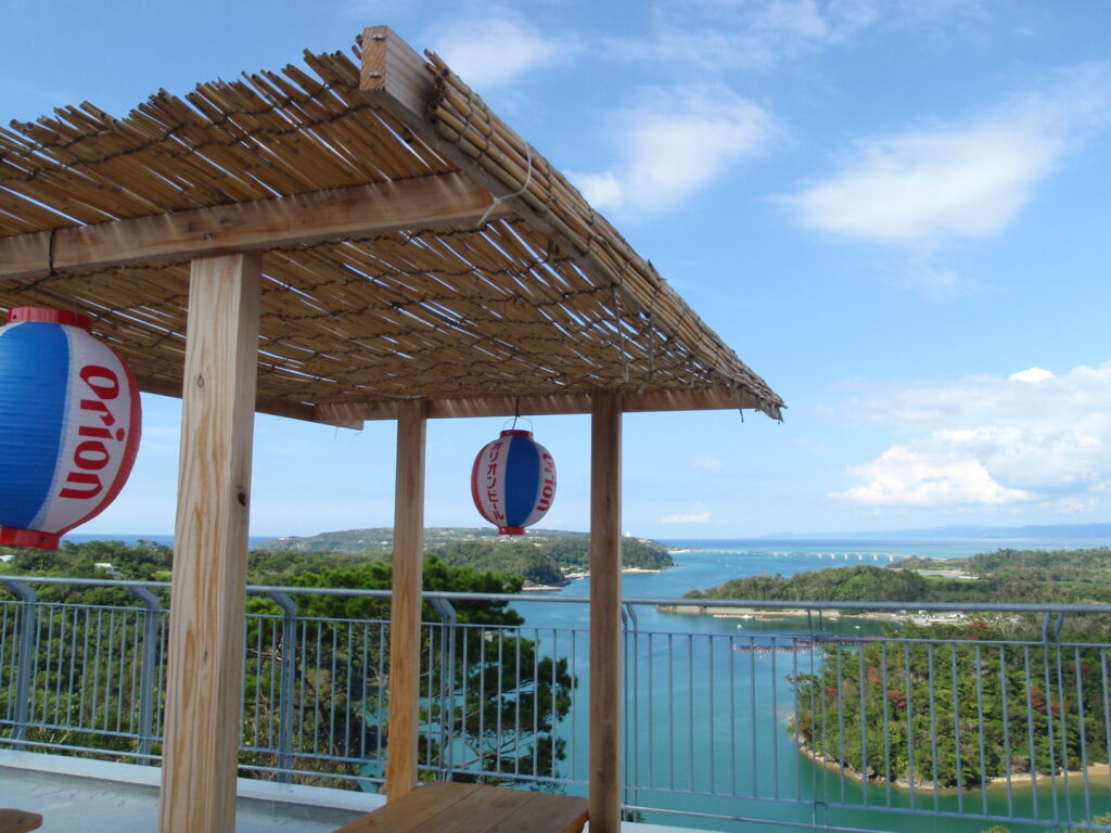 リカリカワルミからの景色