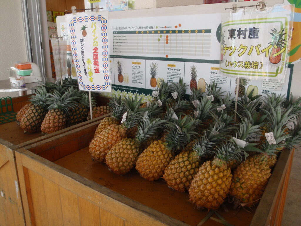 パイナップル生産地の東村