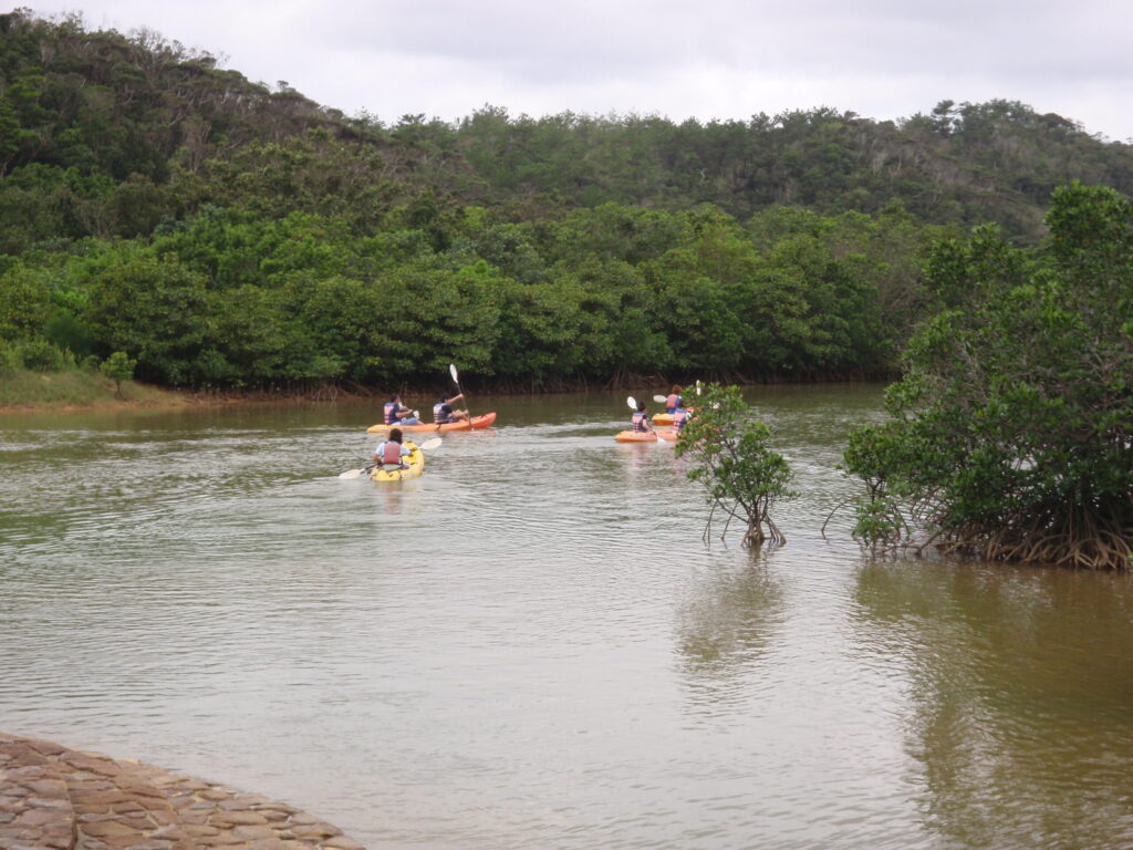 カヌーツアー・マングローブ観察ツアー