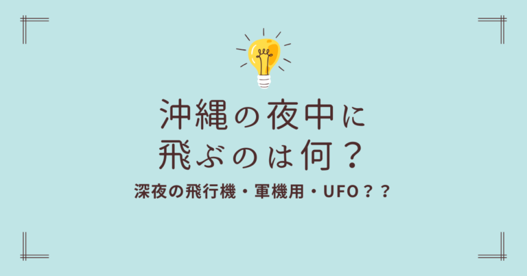 沖縄の夜に飛ぶのは何？