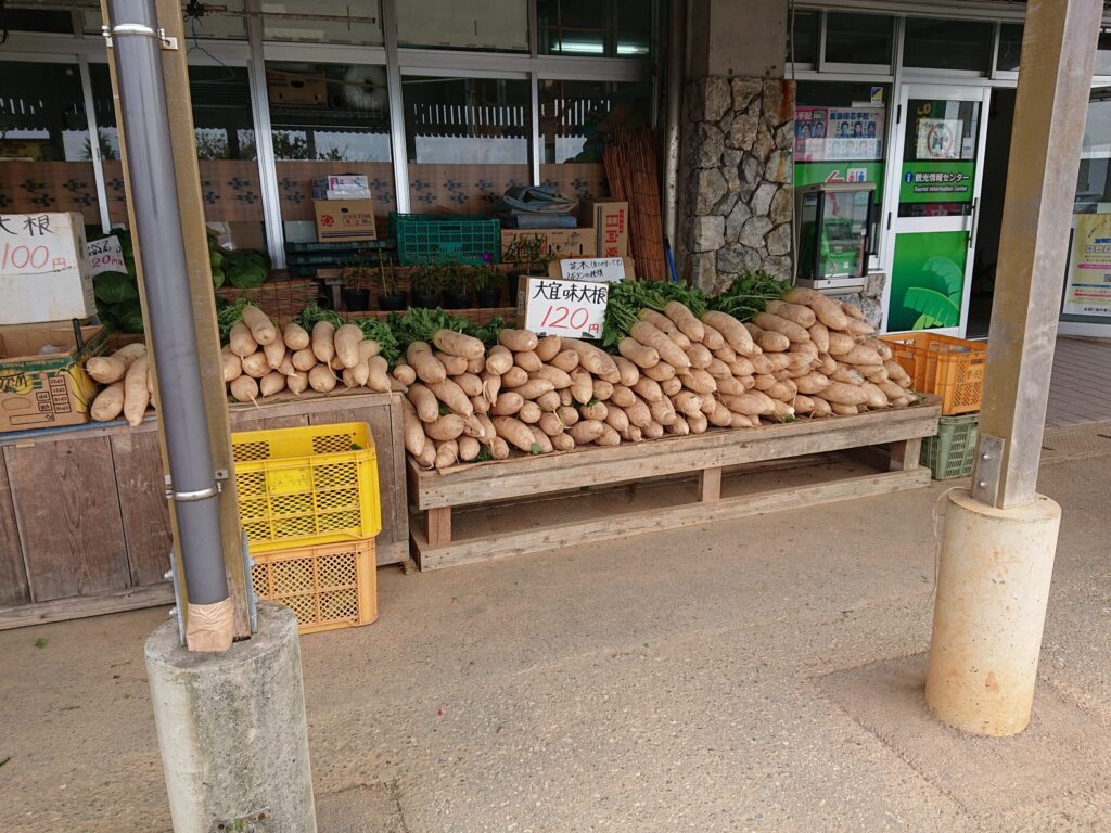 道の駅おおぎみ