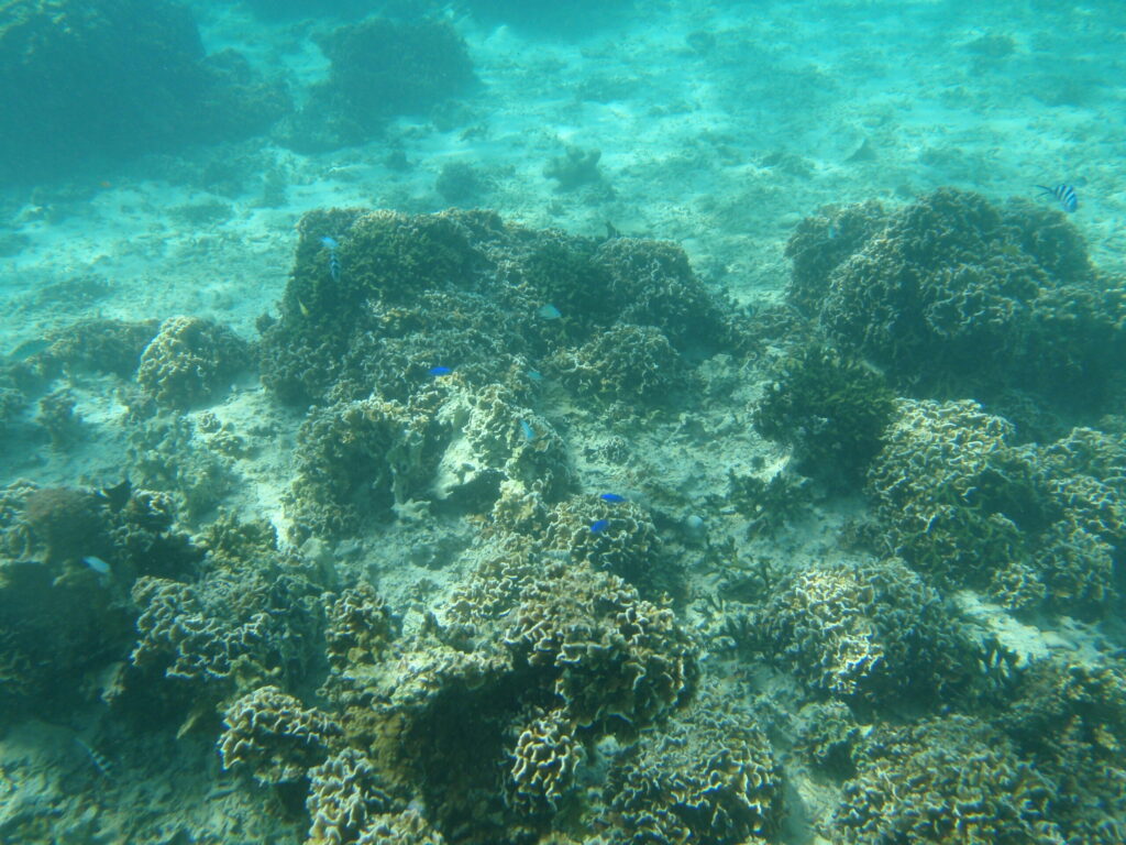 シュノーケリングポイント