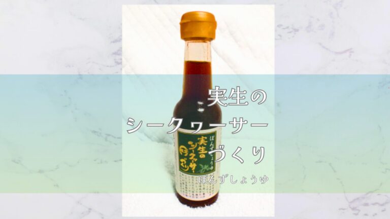 実生シークヮーサー通販