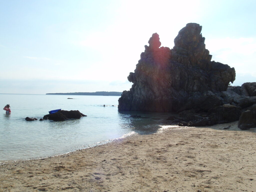 ゴリラがチョップしているビーチ