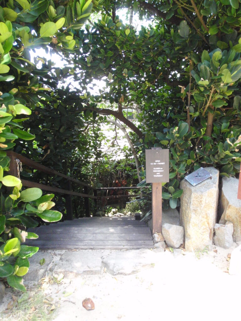 チャハヤブランの入口