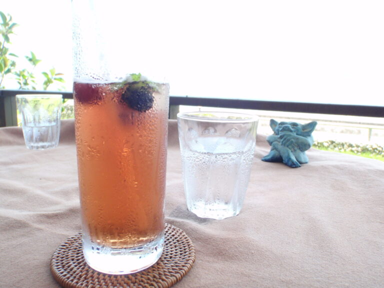 チャハヤブランのテラス