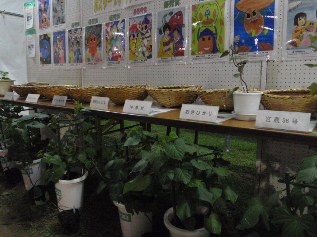 野國總管まつり展示