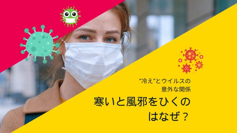 寒いと風邪をひくのはなぜ？